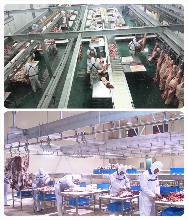 halal_meat_slaughter_process_camel_with_quality_abattoir_machine