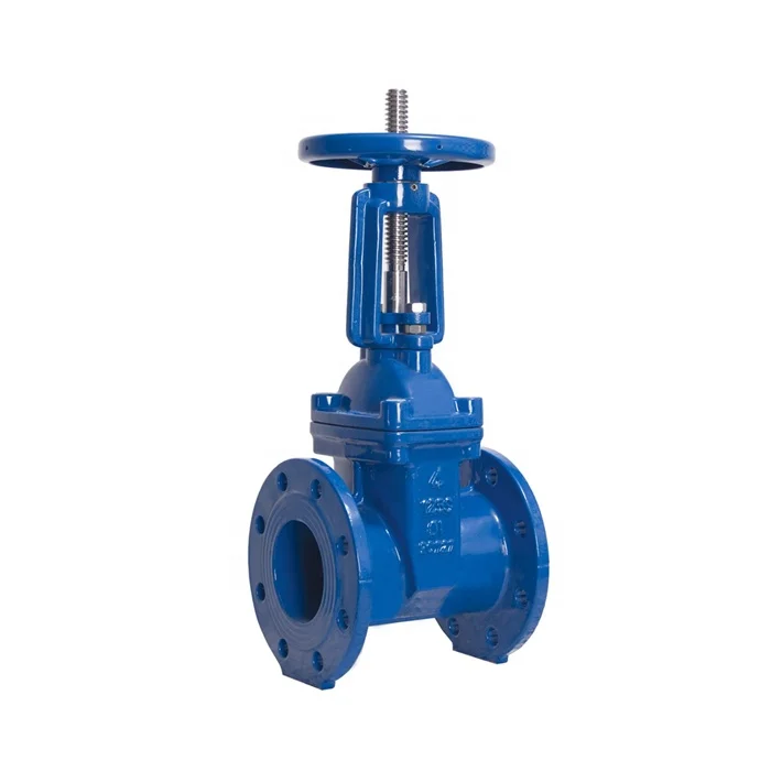 
BS5163/ EN 1171 PN25 Rising Stem Resilient Seated Gate Valve 