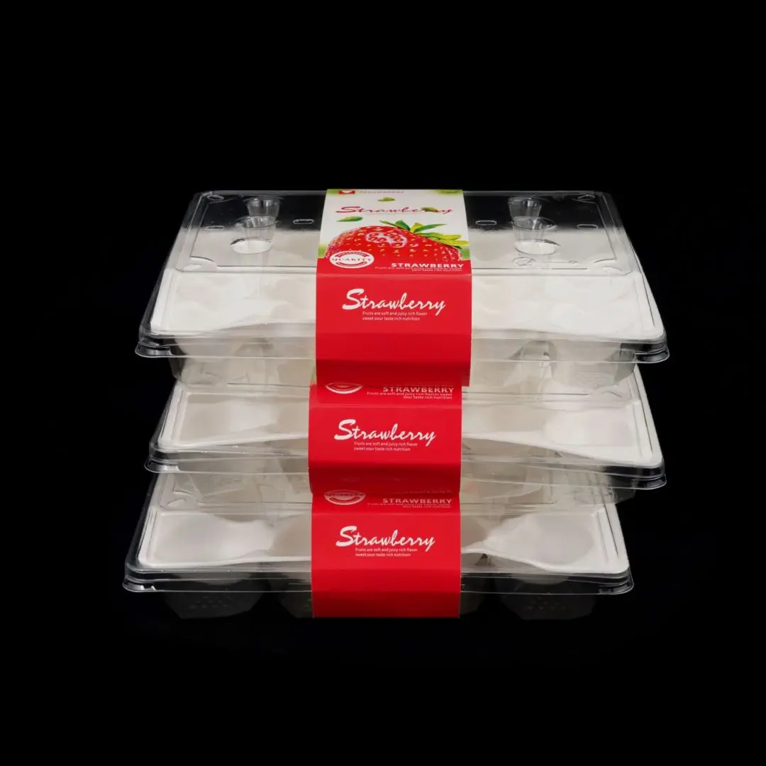 Manufacturer Disposable Transparent PET Strawberry Packaging Foam Tray Clear Plastic Fruit Box