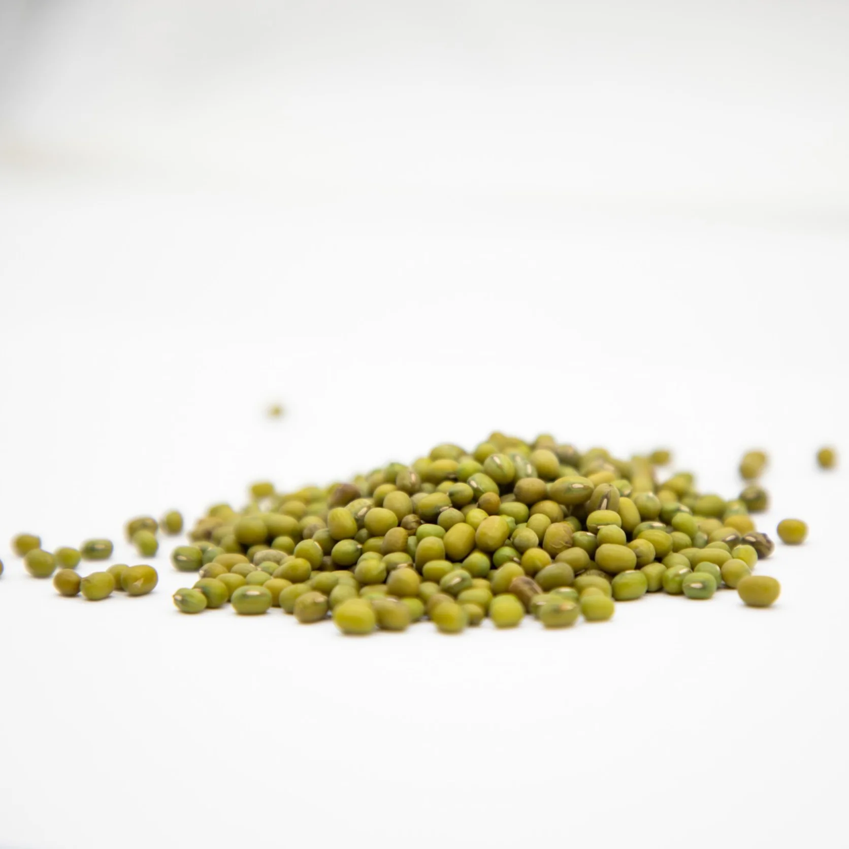 Organic green mung beans 100% natural high grade vigna beans for sprouting from Uzbekistan manufacturer