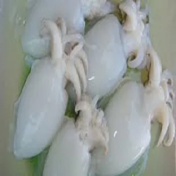 Hot sale Cuttlefish For Low Price