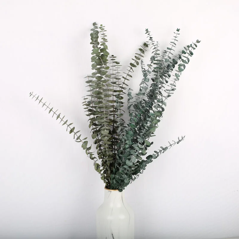 
Лидер продаж 2021 в США на Amazon сохраненные сушеные цветы лист эвкалипта для домашнего декора 