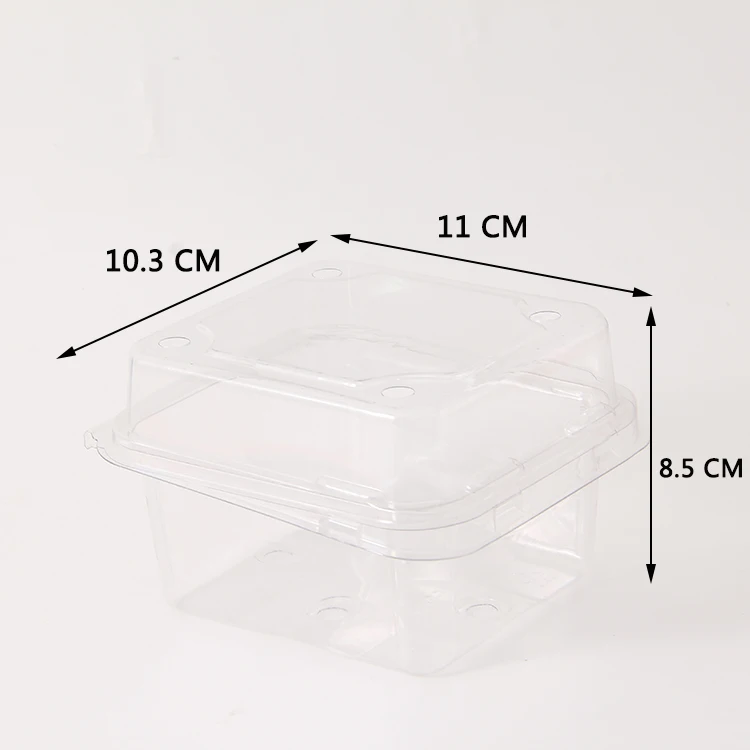 Food Grade Blister Plastic Pet Packaging Fruit Strawberry Punnet Box Container With Handle dry fruits box packaging