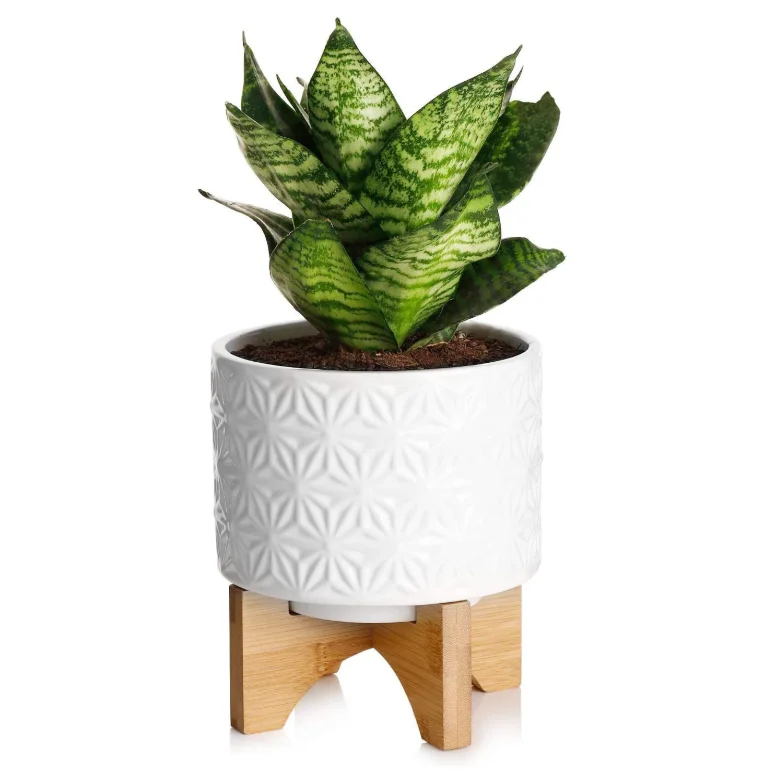 Горячая продажа офисный маленький мини бамбуковый деревянный цветочный горшок держатель стойка