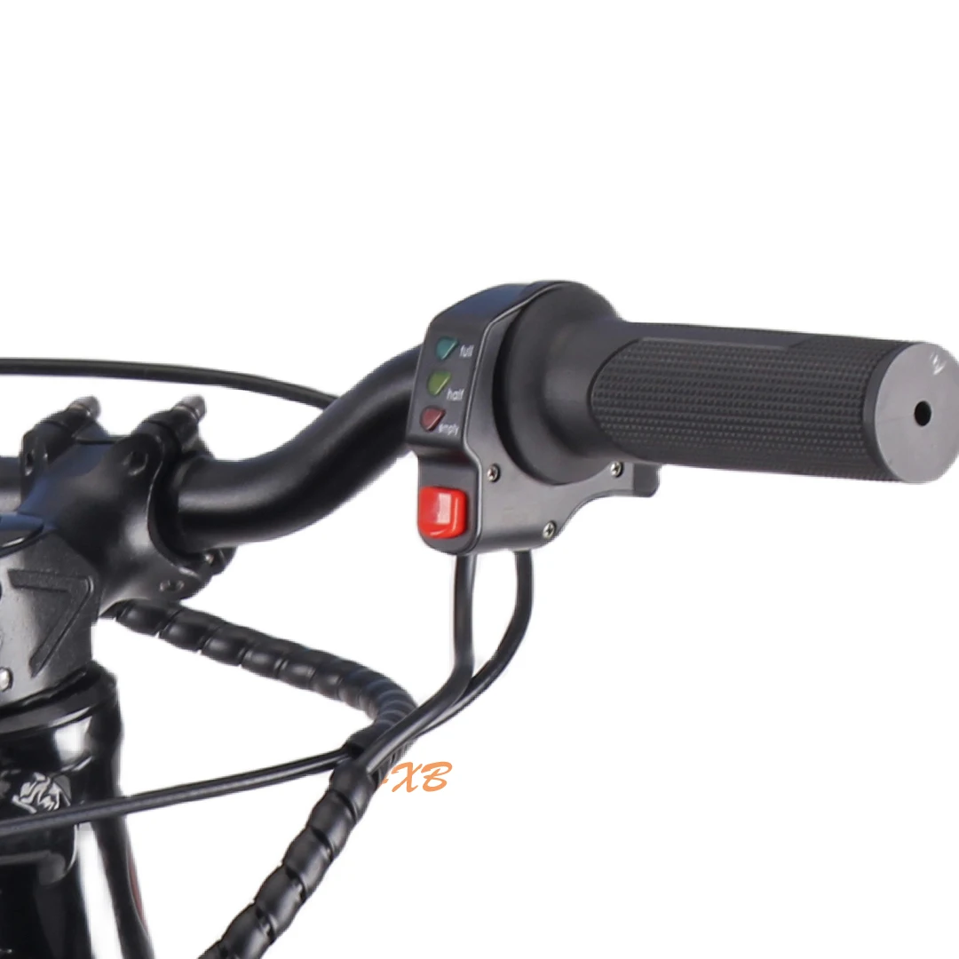 2024 Electric Balance Bike For Kids 12inch 36V 5AH Balance Bike For Kids 2 To 5 Non-Slip Pedal Balance Bike For 5 Year Old Boy