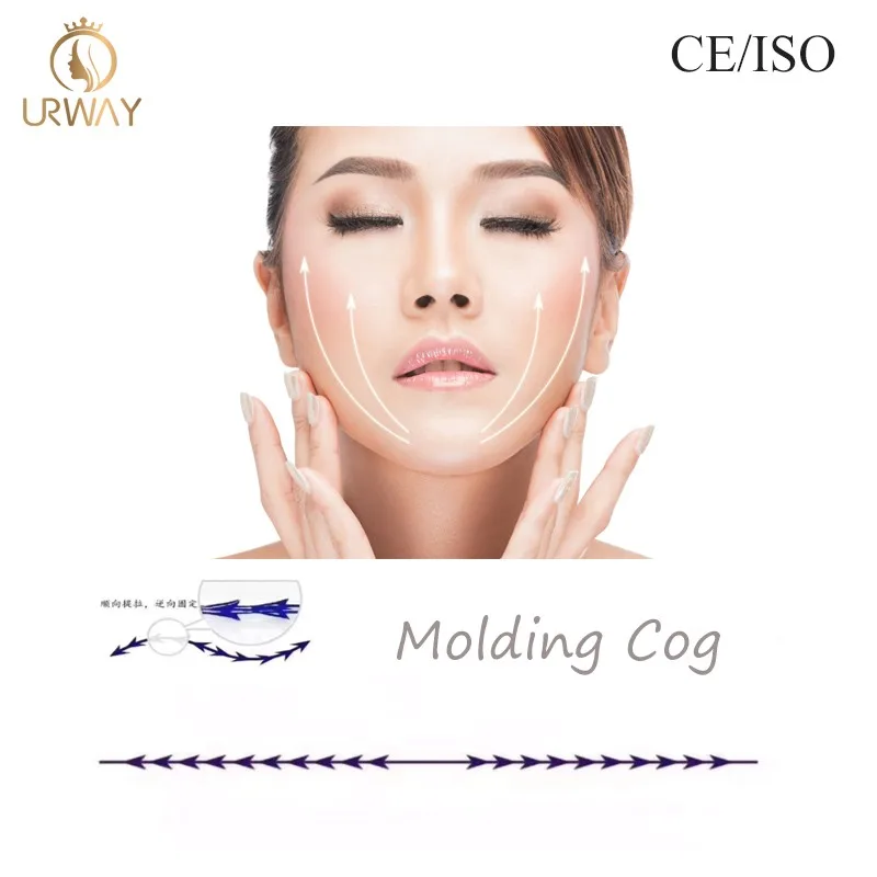 New Innovative Products URWAY PDO PCL threads price thread lift procedure