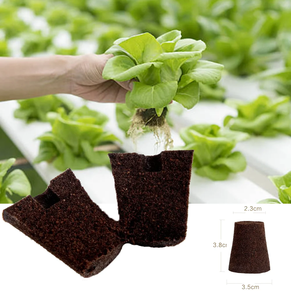 100pcs Hydrophilic Adhesive Food safety coco peat Seedling starter Hydroponic VEG Grow sponge for lettuce