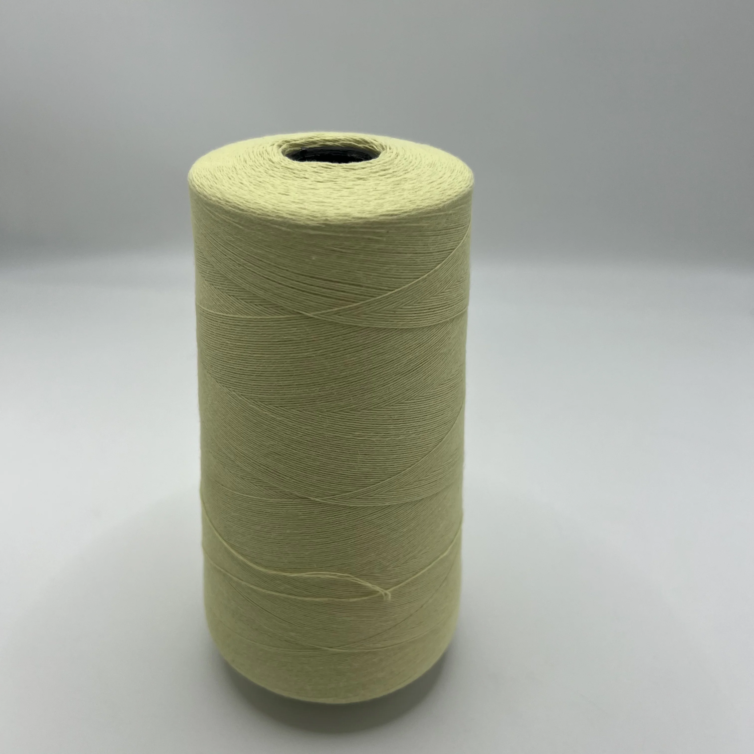 Hot selling 100% Aramid Yarn Flame Retardant Metal Wire Sewing Line for Uniform Use