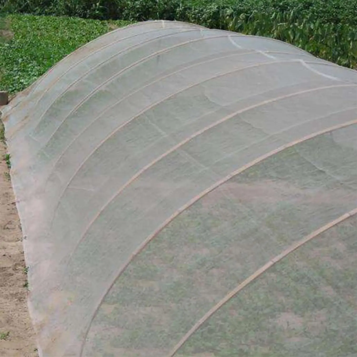 Transparent Nylon Bird Mist hdpe bird netting agritultural mesh for fruit trees protect