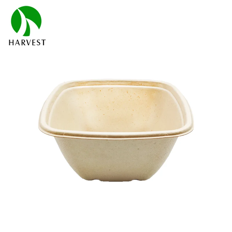 350ml 500ml sugarcane bagasse pulp wholesale take out square food container