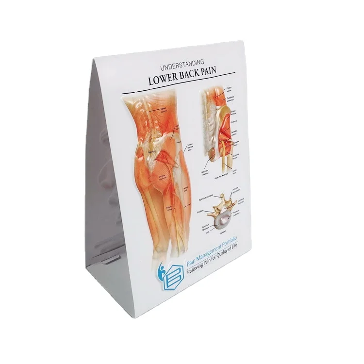 Custom 3D embossed PVC Medical Wall Chart For Medicine