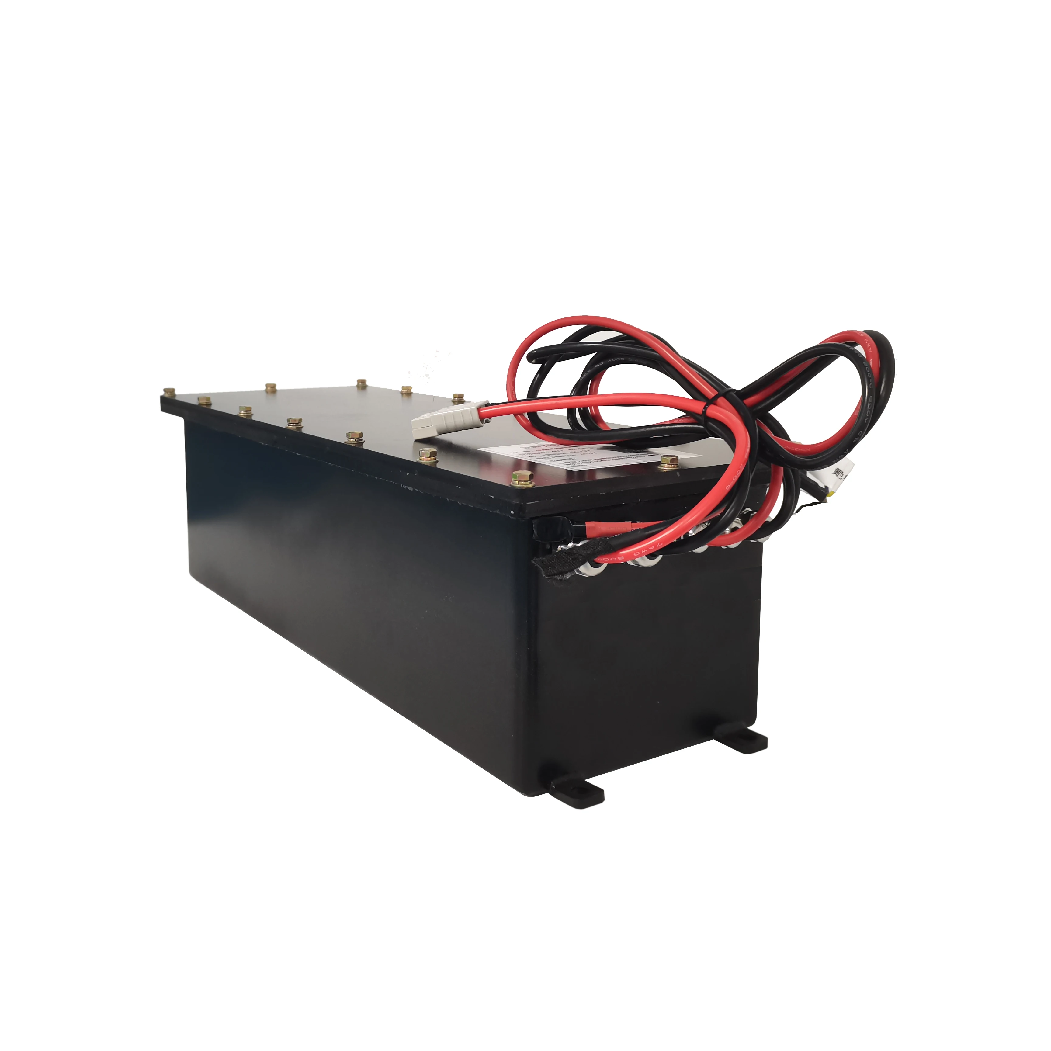 Reliable 48v 52ah lithium lifepo4 battery 2496Wh lifepo4 li ion battery for Go kart Dirt bike atvs