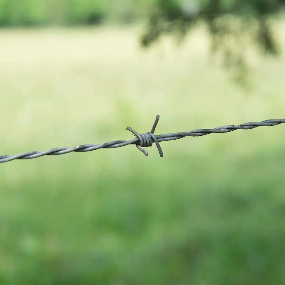 Barbed Wire Fencing Prices Single Fils Barbel Galvaniser Price Per Roll Kenya