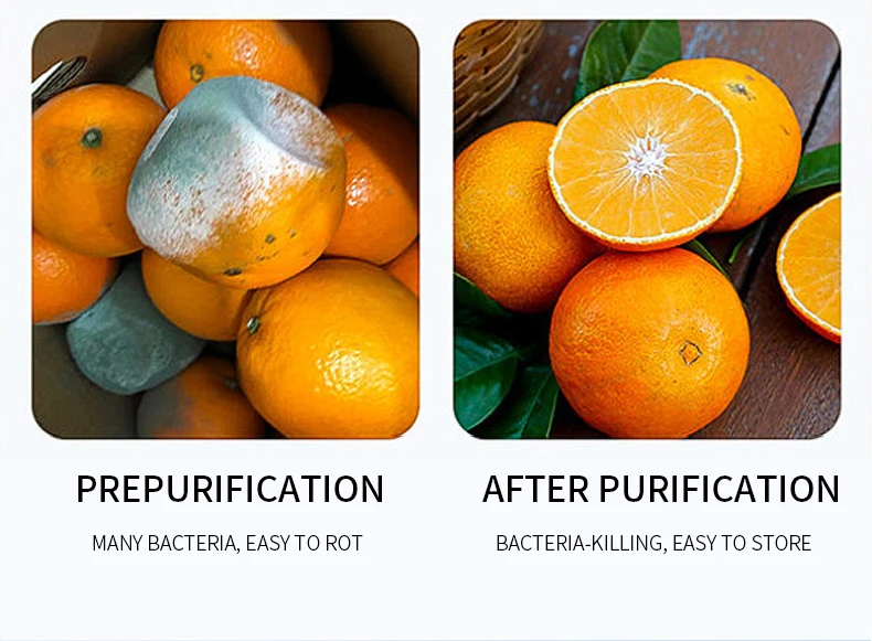 Vegetable Purifier (14).jpg