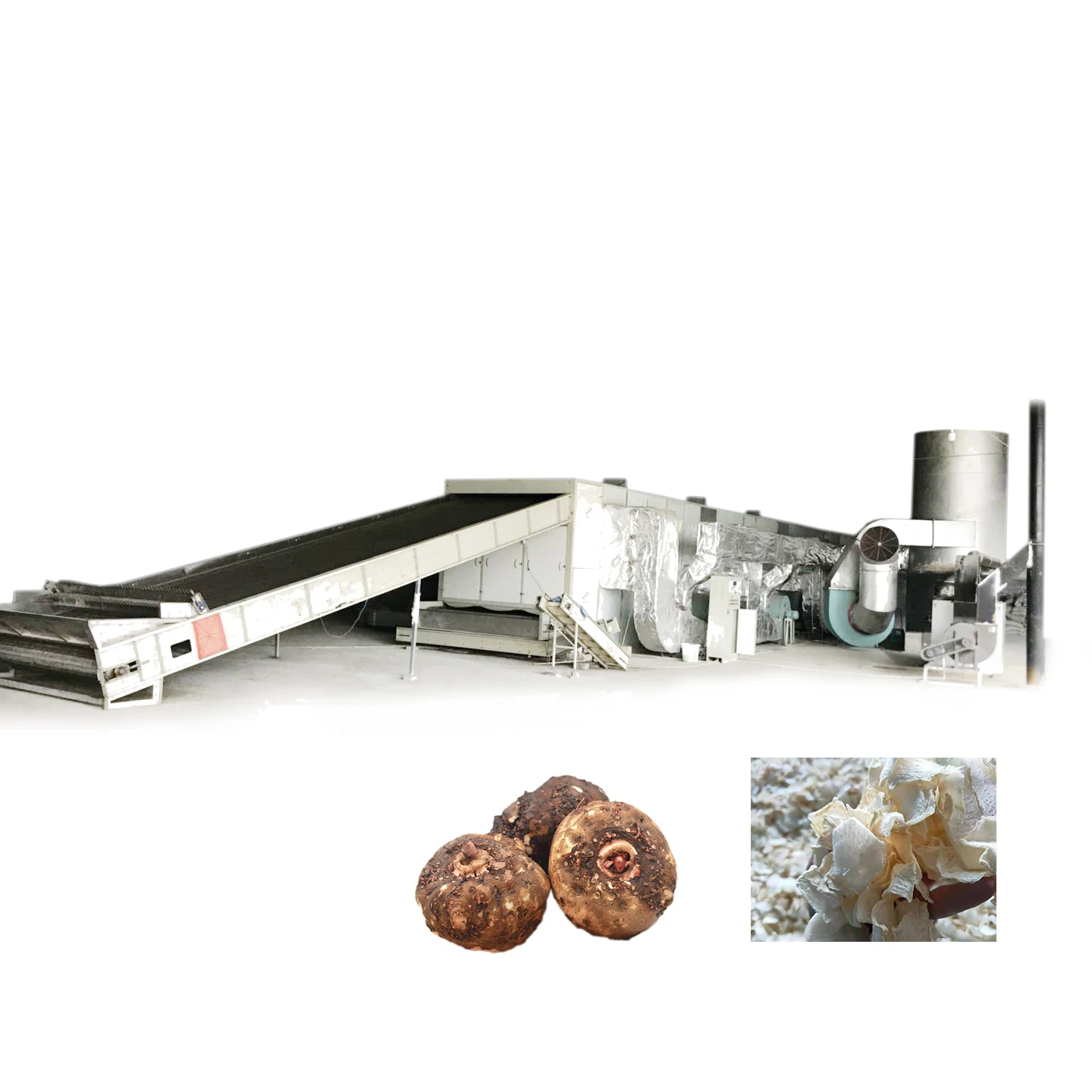 Сушильная машина porang konjac 30 тонн/24 часа с газовой плитой для струйных чипов konjac, обработка порошка konjac