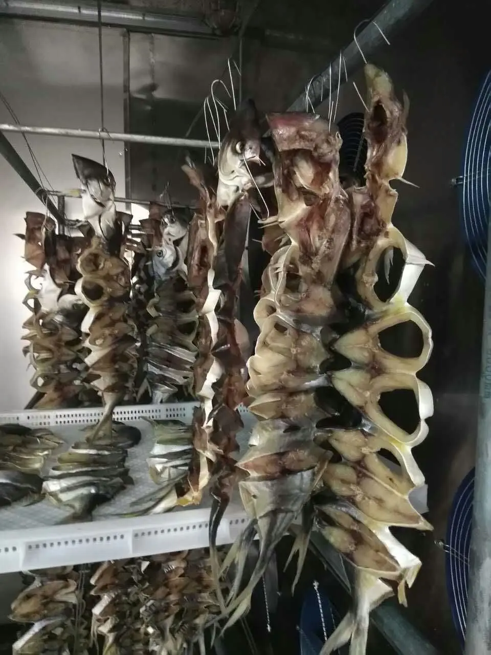 
Industrial Food Heat Pump Fish Dryer Oven Drying Machine Price 