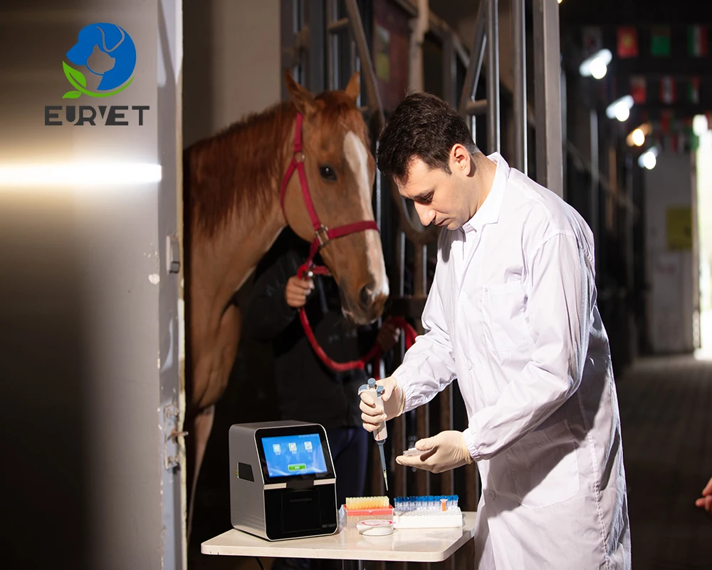 EUR VET High Quality Animal Blood Chemistry Analyzer Vet Biochemistry Machine For Veterinary Clinic Use