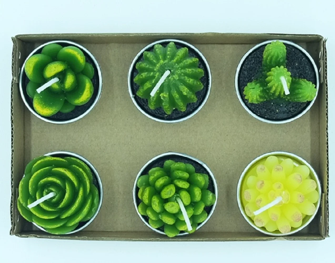 26g Custom Design 6 Pack Set Succulent Green Plants Mini Cactus shaped Carved Candles