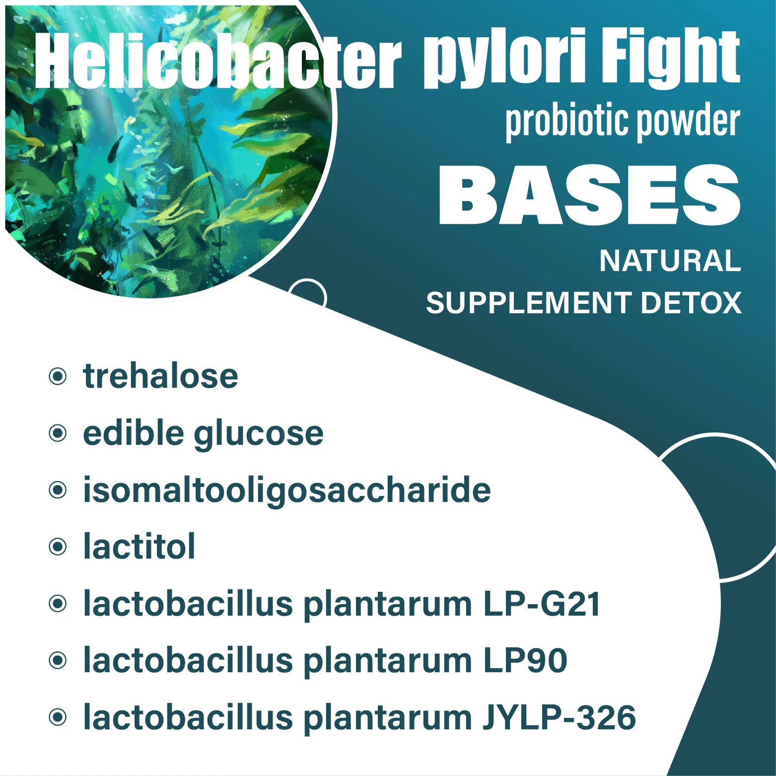 OEM Lactobacillus paracasei probiotic Intestinal Flora Balance Enhance Immune System Helicobacter pylori Fight Probiotic Powder