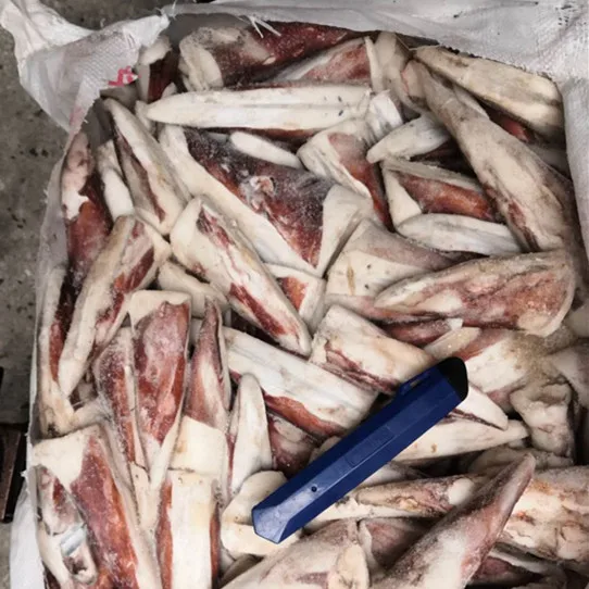 Frozen Giant Squid Tip  tail squid ink powder thailand market