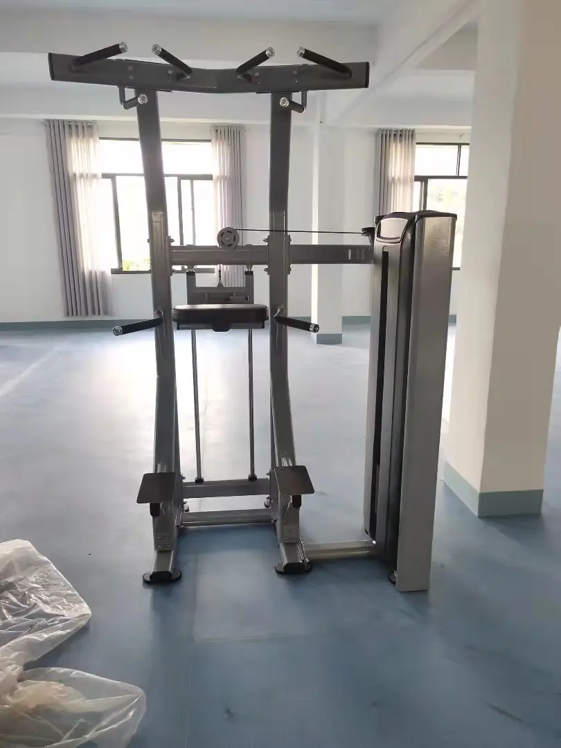 High Quality Professional Pin Loaded Dip Chin Strength Machine Assisted Sports Gym Equipment
