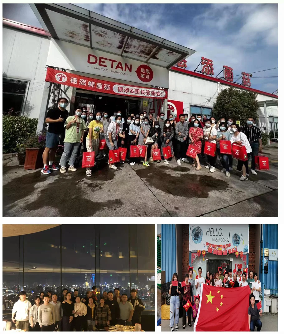 Detan Organic  Fresh Morel Mushroom  Hot Sale Mushroom