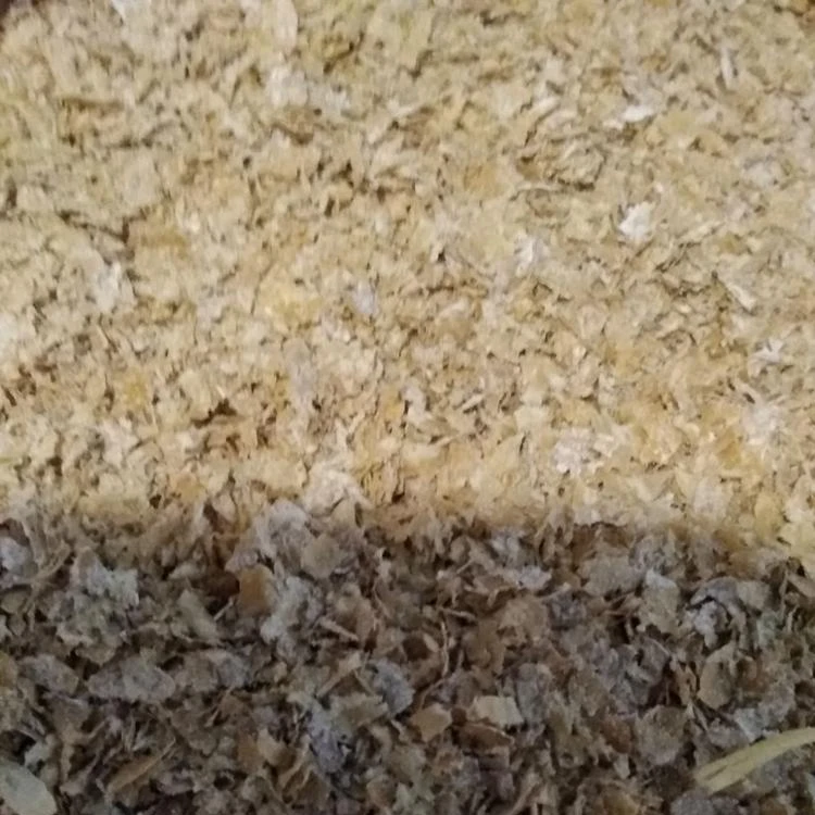 
Animal Feed Wheat Bran high protein 13% 