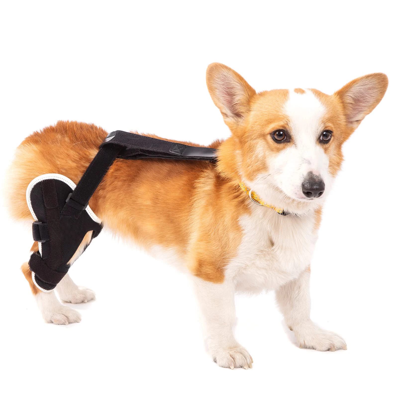 Dog ACL Brace Hind Leg Two Angled Lateral Aluminum Splints Support Dogs with Stability, CCL Injury Two Angled dog knee brace