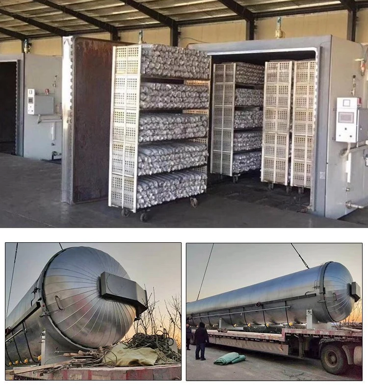 Edible fungus sterilizer 8.jpg