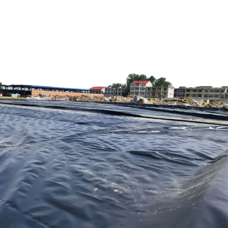 Новый дизайн Водонепроницаемый Hdpe Геомембраны для Пит-лайнера по низкой