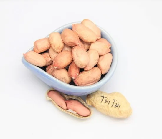 peanut raw kernels groundnut kernel peanuts