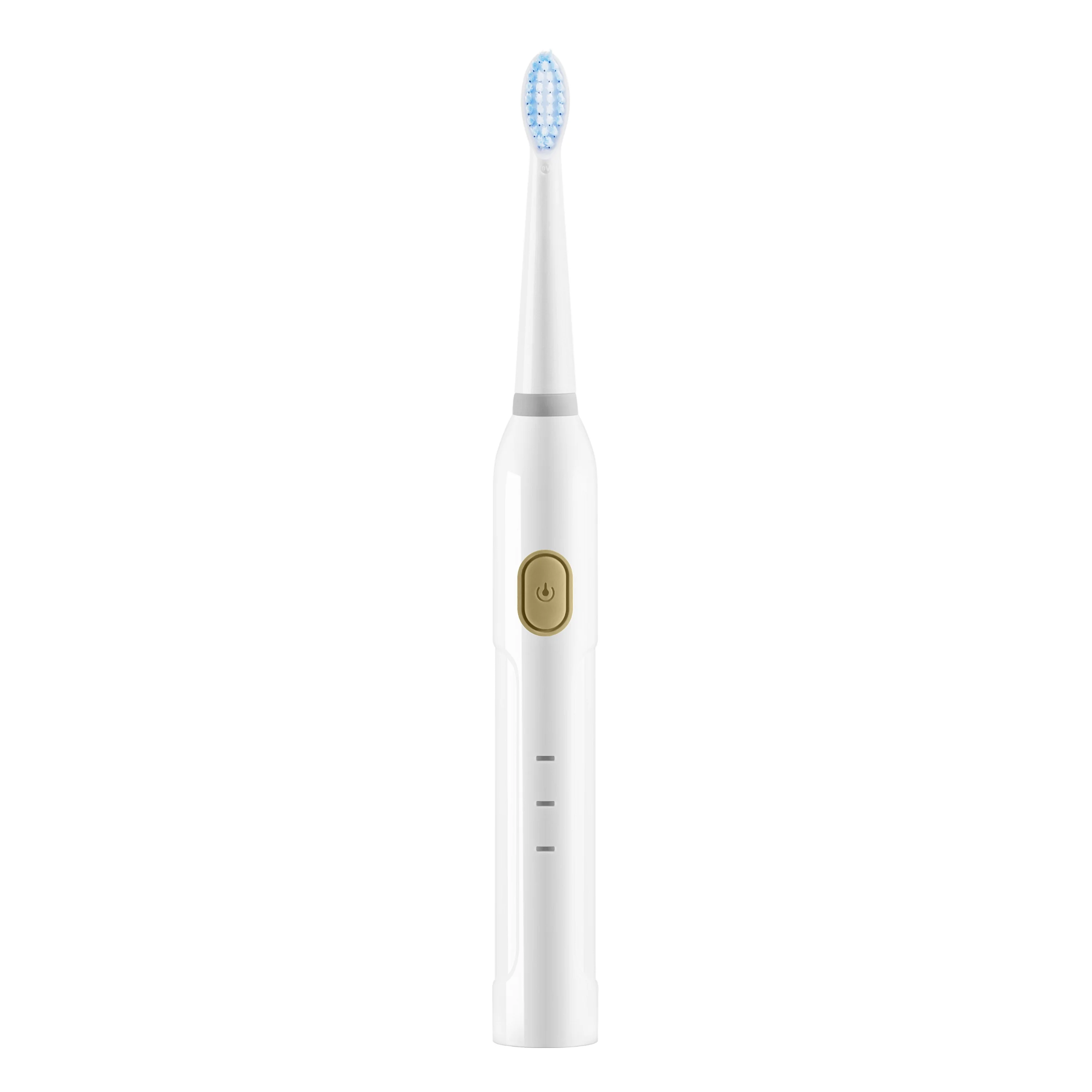 
PT19 Free Sample 10 Years Oral Care Factory USB Rechargeable Powered Vibrate Automatic Sonic Electric Toothbrush 