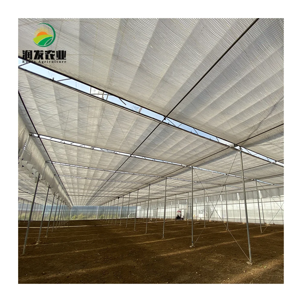 Agricultural Green House Metal Frame Multi-Span Film Greenhouse with Hydroponic and Automatic Irrigation System