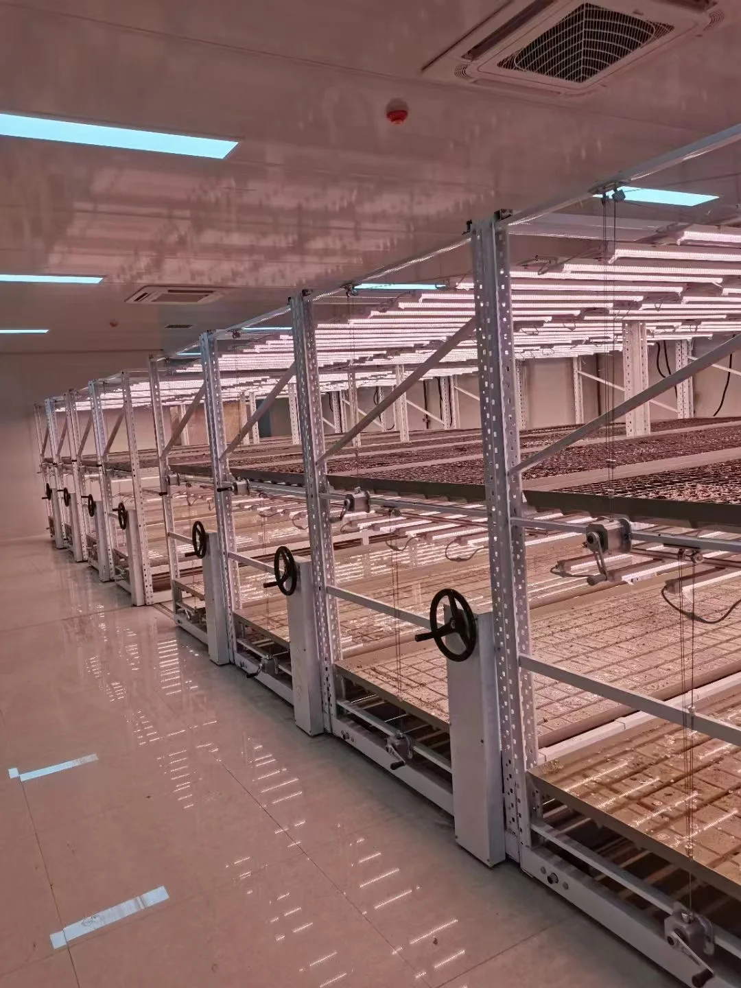 Skyplant  40HQ Green Leafy Vegetables Vertical farming Growing Hydroponics Container Farm Cucumber Container Farming System