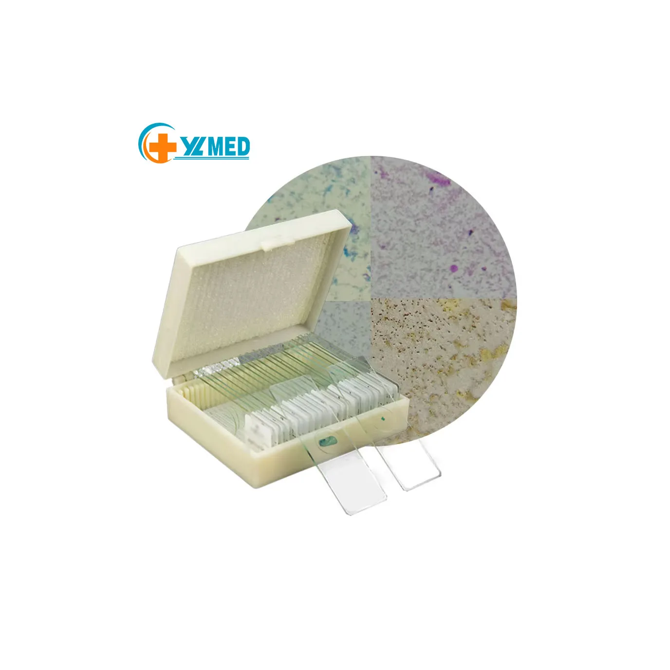 High Quality 25Pcs Biological Microscope Prepared Slides Biology Plant Animal Slides
