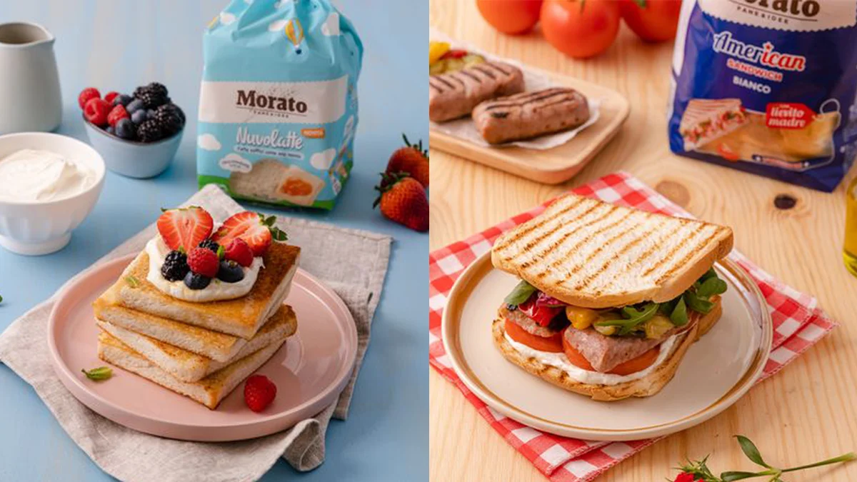 Best Quality 380 G Characteristic Grain Taste Sprouted Grains Sandwich Brown Bread Made In Italy For Sale