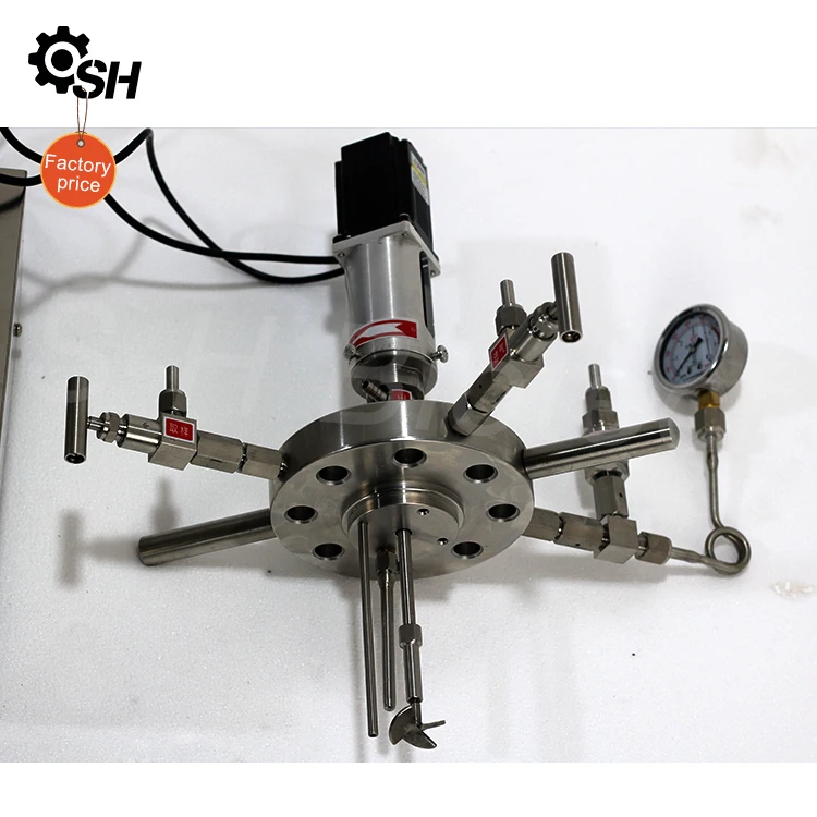 100ml Stainless Steel Magnetic Stirred High Pressure Chemical Reactor