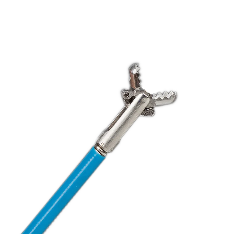 Disposable Endoscopic alligator teeth biopsy forceps colonoscope