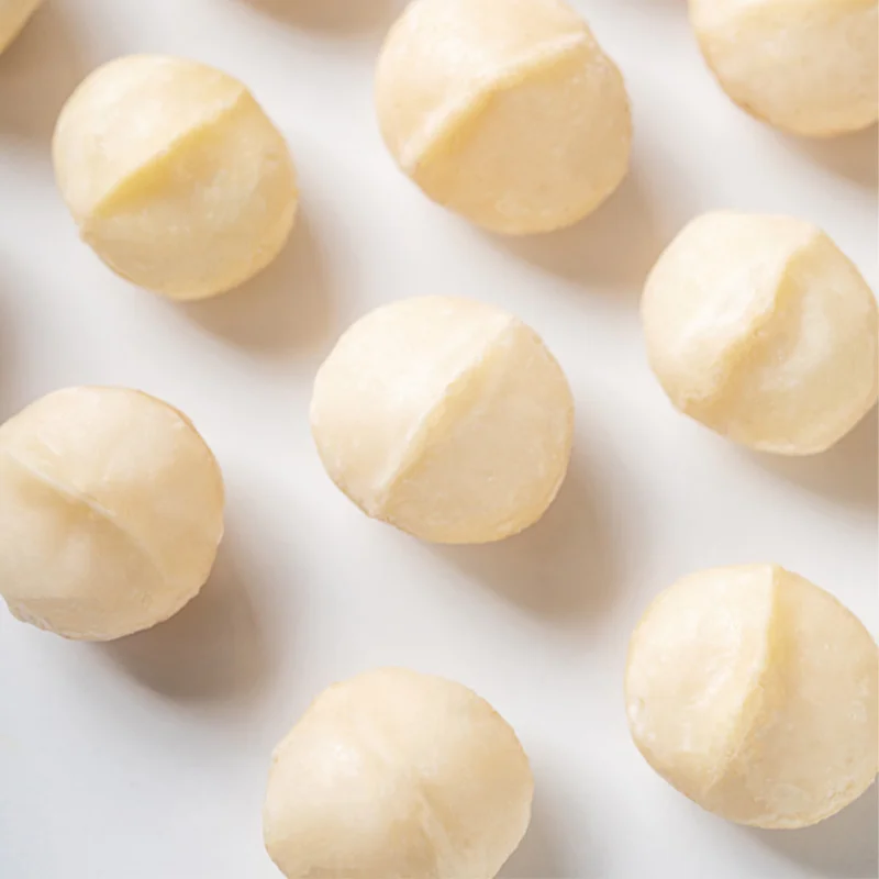 Factory Direct Price Own Planting Base Macadamia Nuts Wholesale Raw Materials For Roasted Chocolate Macadamia in Shell