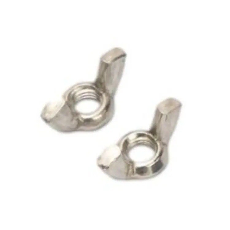 Plastic Magnet Swivel Custom Screw Recessed Stainless Steel Wing Nut