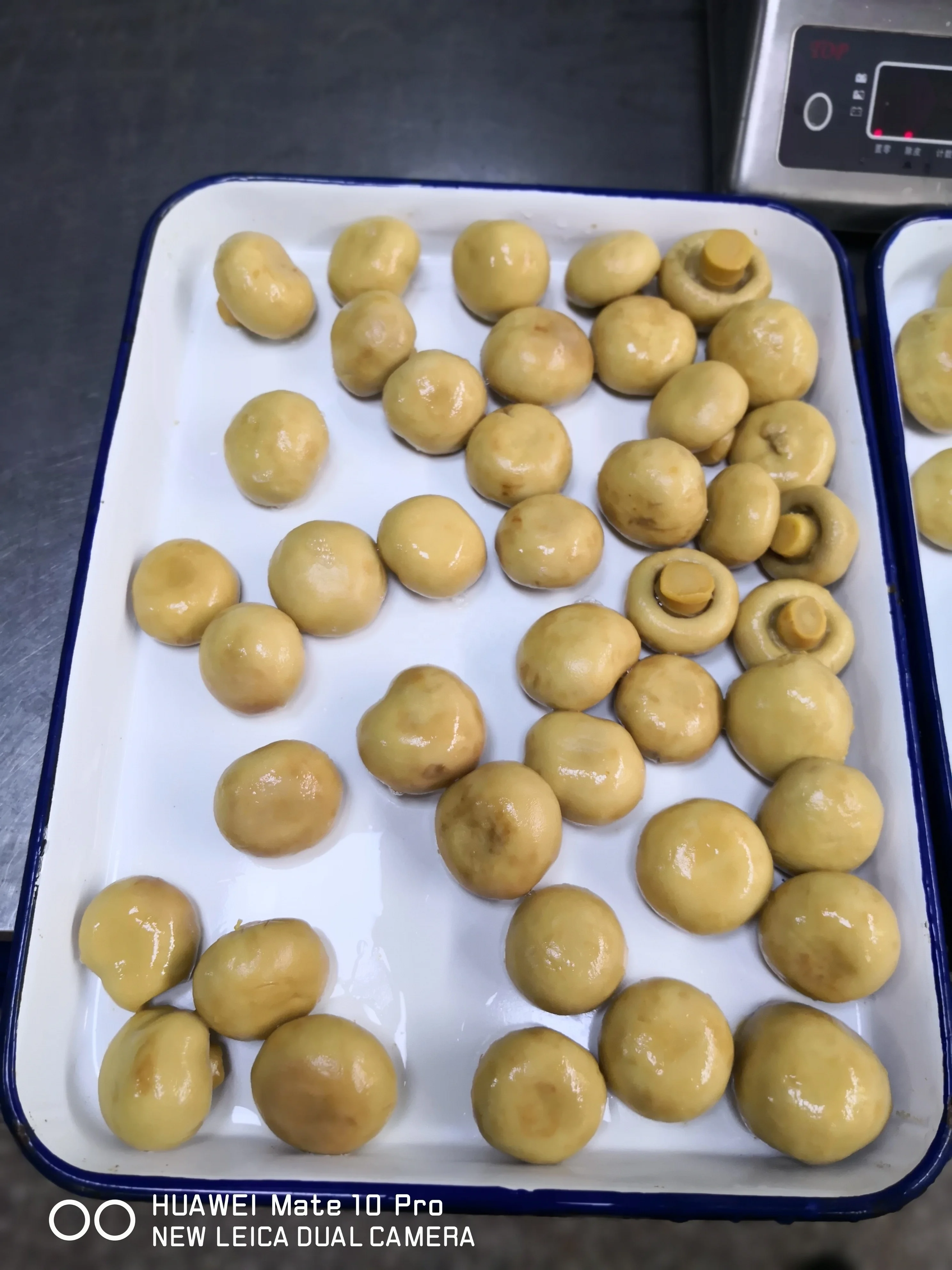 Canned Mushrooms whole