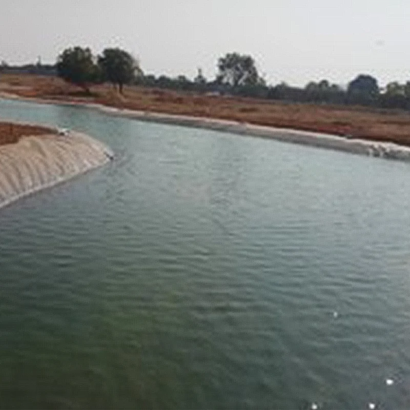 Factory Wholesale Hdpe Liner Waterproof Geomembrane Modern Membrane For Pool