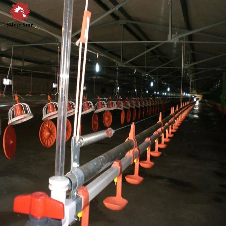 plastic floor system poultry farming broiler raising equipments