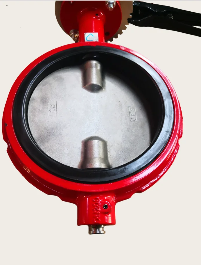 8 Inch ANSI CL150/ANSI125 Ductile Iron Ggg50 Red Color Wafer Type Butterfly Valve Suitable for American Market