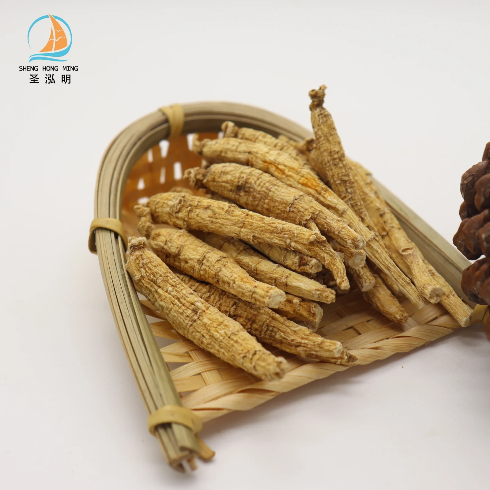 Wholesale Pure Natural Fresh American Ginseng panax quinquefolius with good price