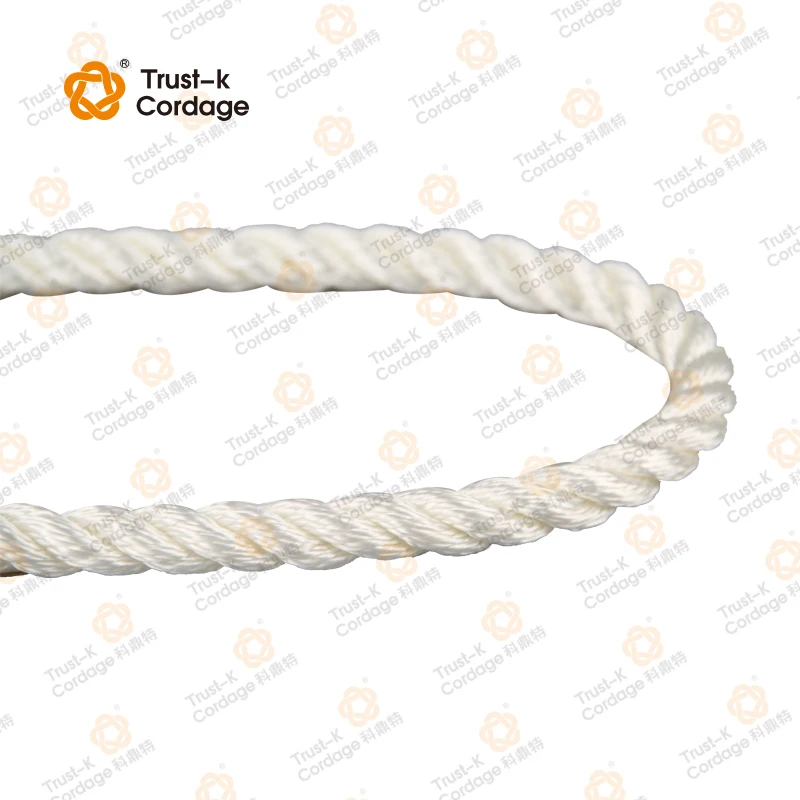 polyester 3 strand twisted ropes/marine