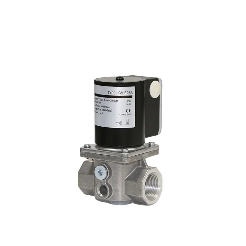 12V High-Temperature Gas Solenoid Valve Safety Control Parts for Gas Burners and Boilers OEM Customizable