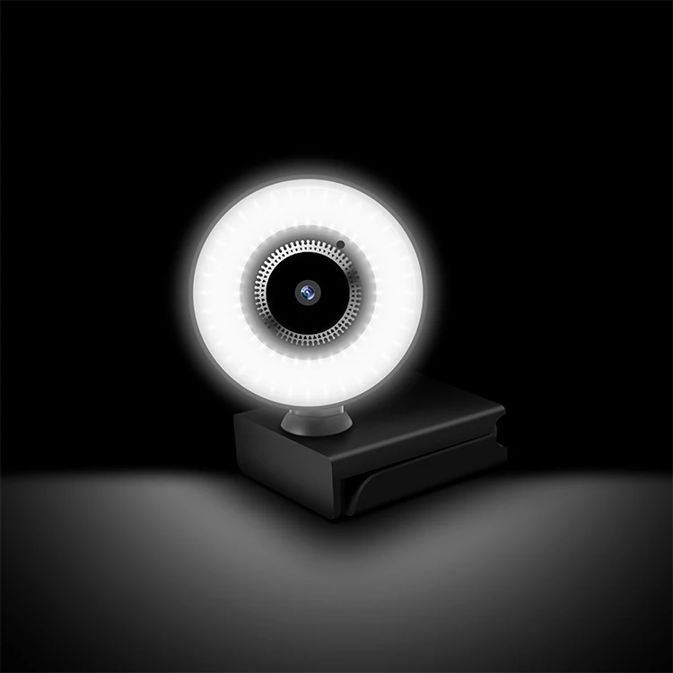 Живой косметологический компьютер HD 2K сетевая видеоконференции внешний usb с микрофоном заполняющий свет