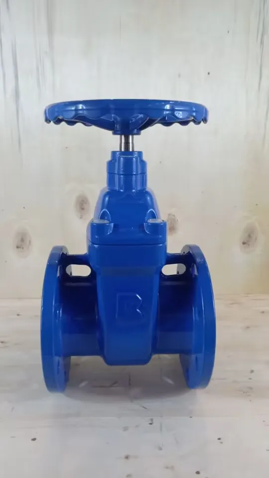 China Manufacturer DN50-DN300 Industrial Valve Cast Iron Ductile Iron Rubber Seal Flange Gate Valve