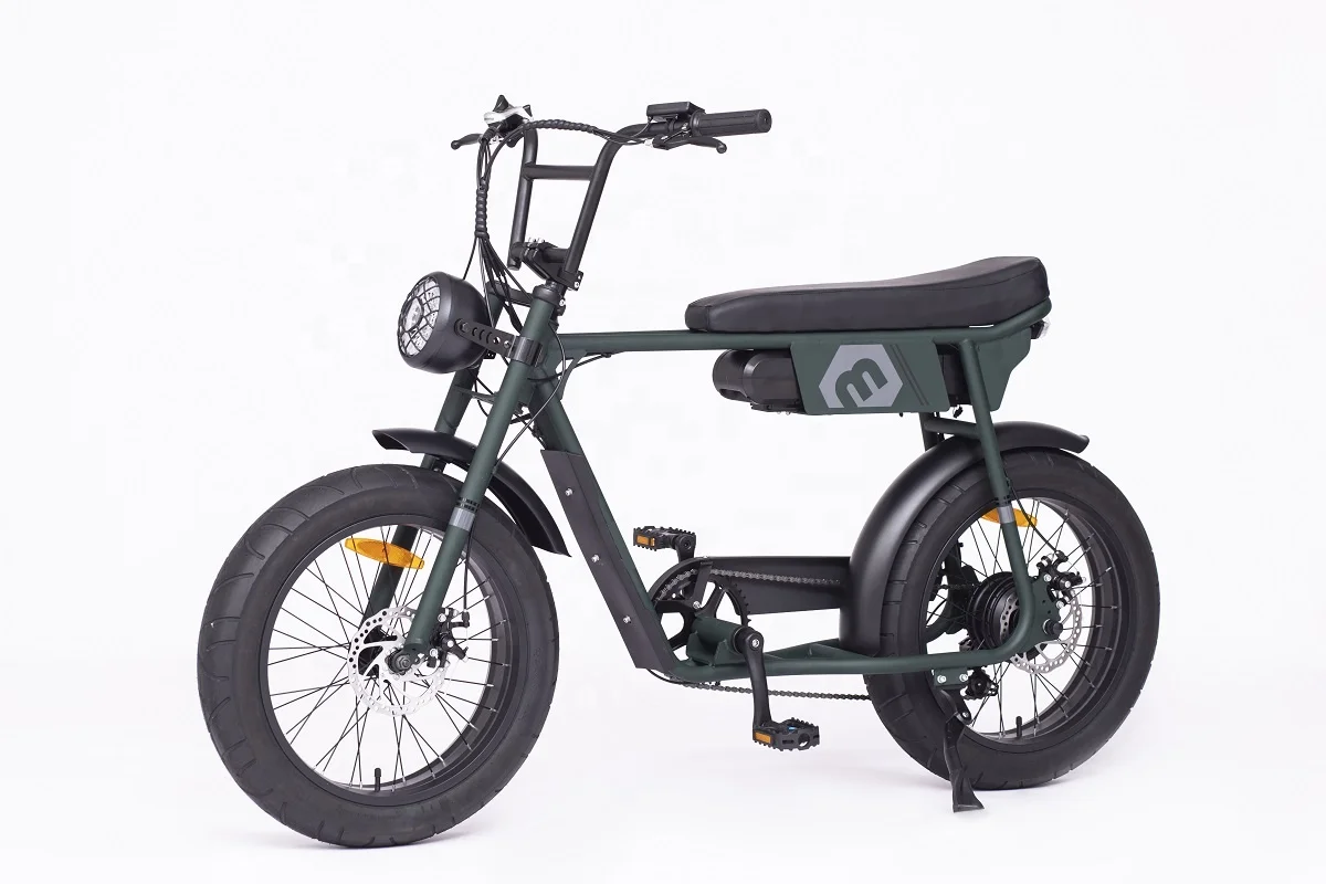 20 Inch Fat Tire 250W 350W 500W 750W 1000W Fast Speed Off-Road Electric Moped Bike